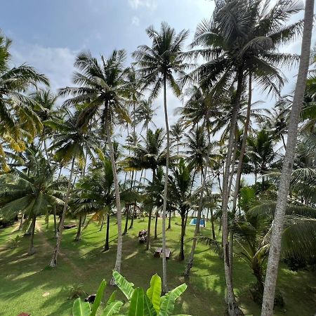 Galawatta Beach Resort Унаватуна Экстерьер фото